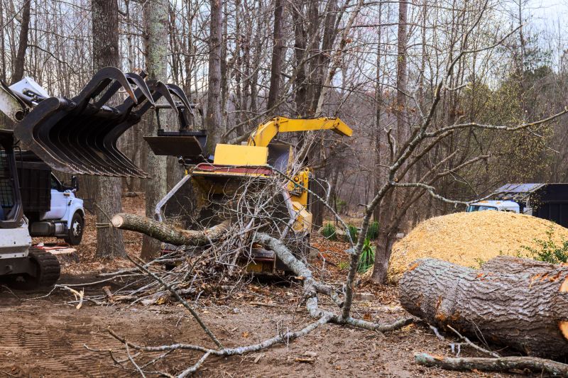 Equipment for Tree Removal